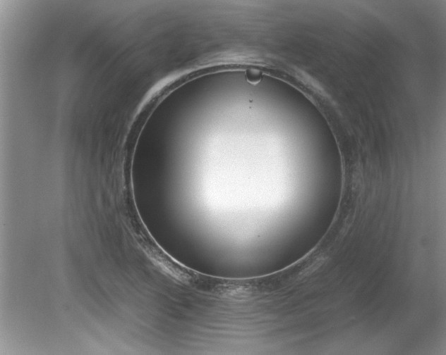 X0000081571222200701221044