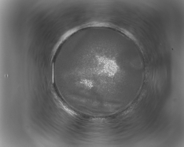 X0000081571223200701221044