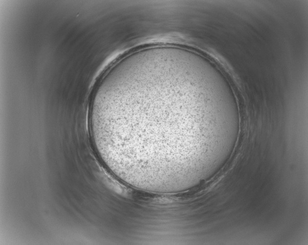 X0000081571224200701221044