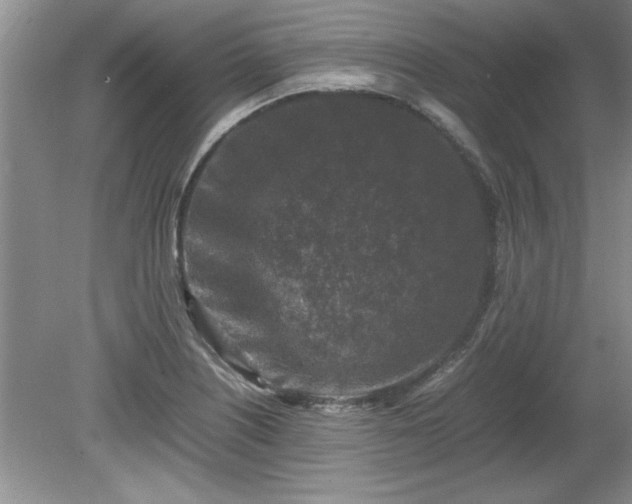 X0000081571226200701221044