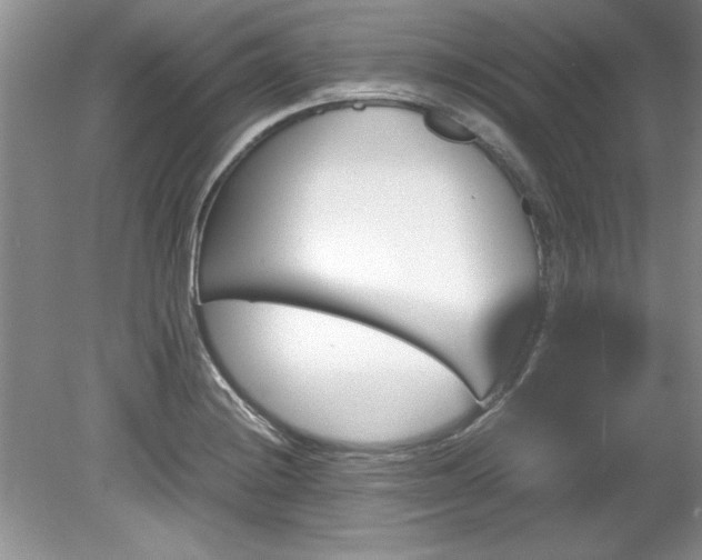 X0000081571228200701221044