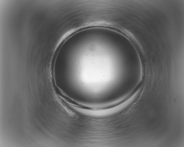 X0000081571230200701221044