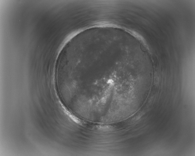 X0000081571231200701221044