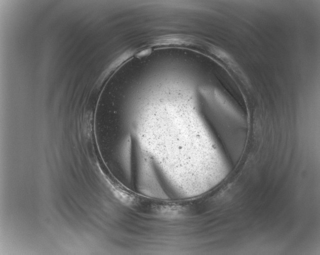 X0000081571233200701221044