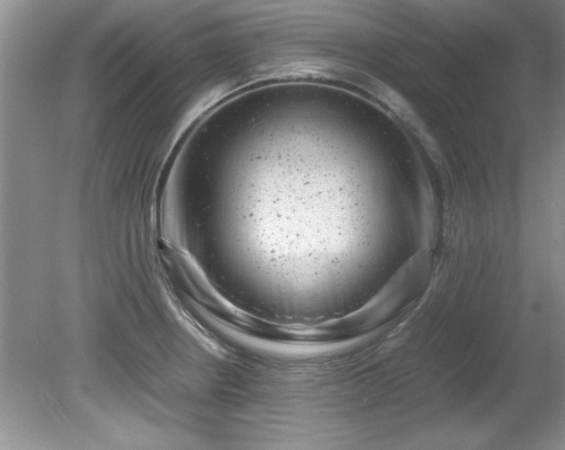 X0000081571234200701221044