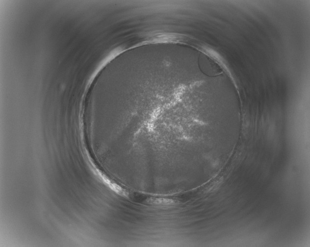 X0000081571235200701221044