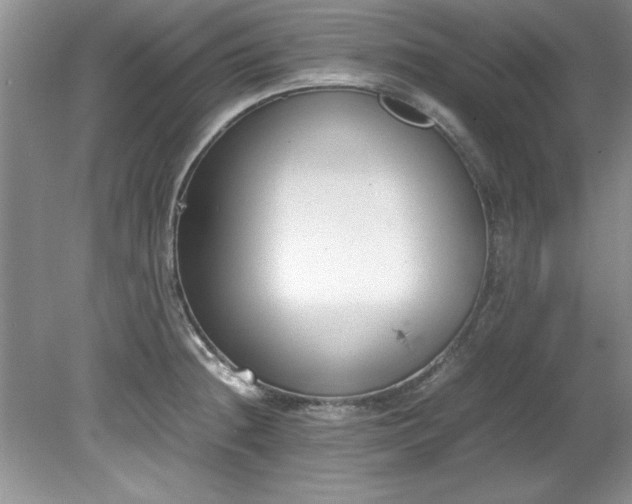 X0000081571236200701221044