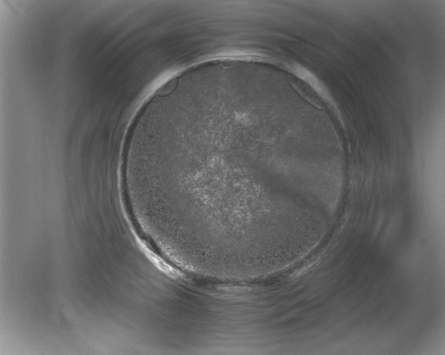 X0000081571237200701221044