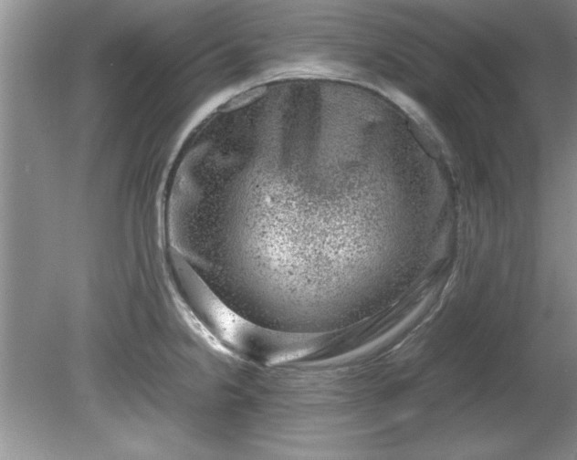 X0000081571238200701221044