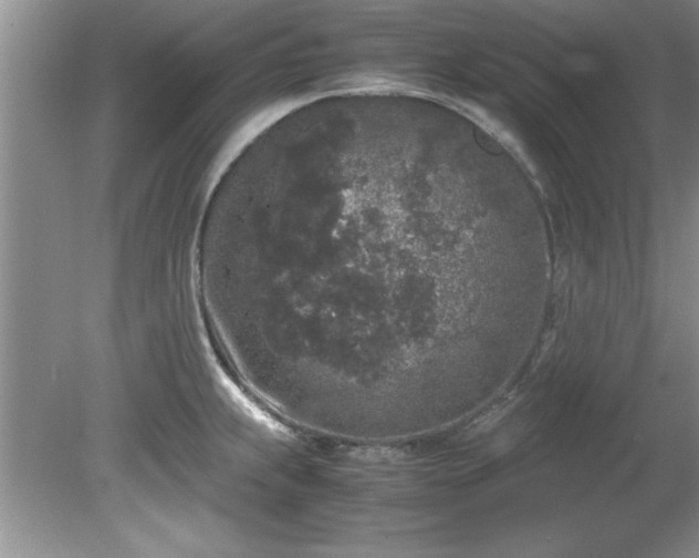 X0000081571239200701221044