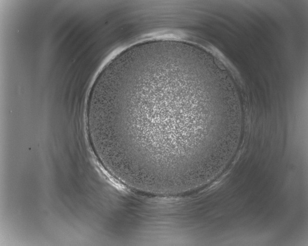 X0000081571240200701221044