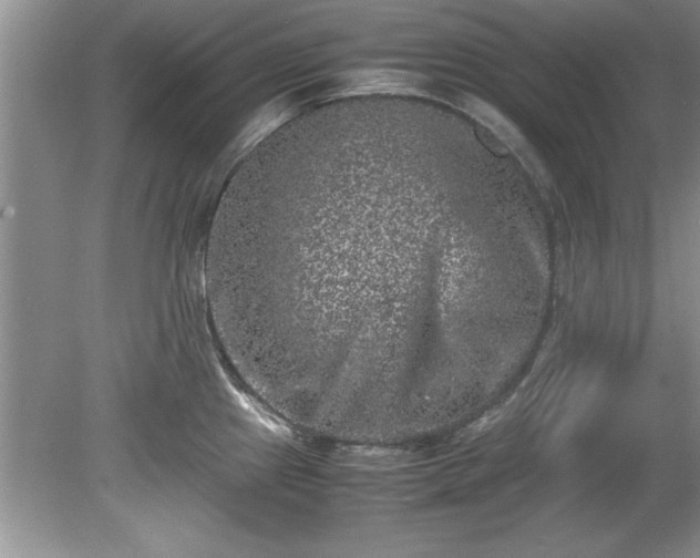 X0000081571241200701221044