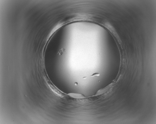 X0000081571242200701221044