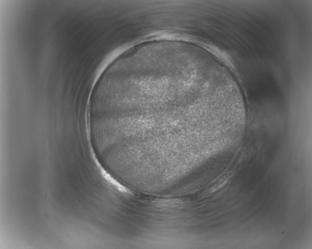 X0000081571247200701221044