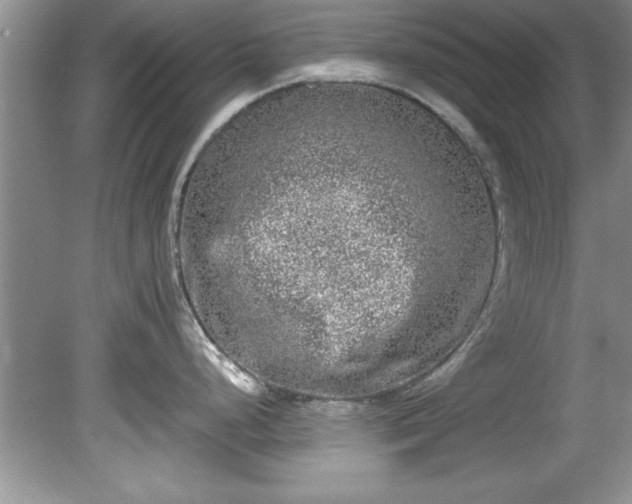 X0000081571248200701221044