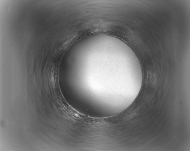 X0000081571250200701221044