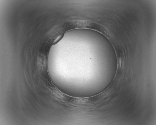 X0000081571251200701221044