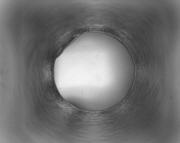 X0000081571252200701221044