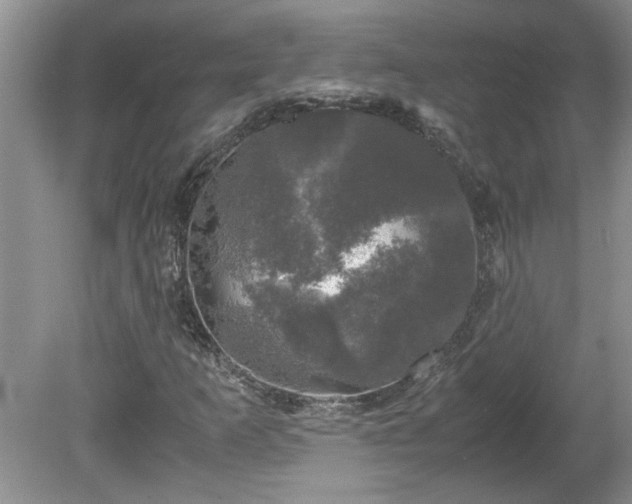 X0000081571253200701221044