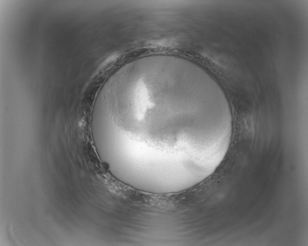 X0000081571254200701221044