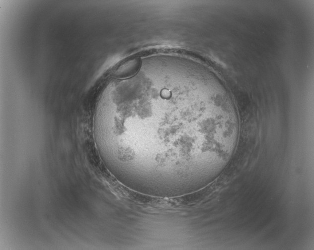 X0000081571255200701221044