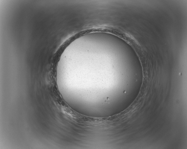 X0000081571256200701221044