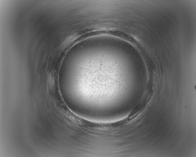 X0000081571257200701221044