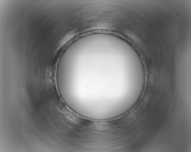 X0000081571258200701221044