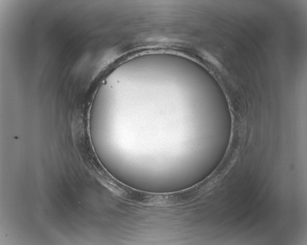 X0000081571259200701221043