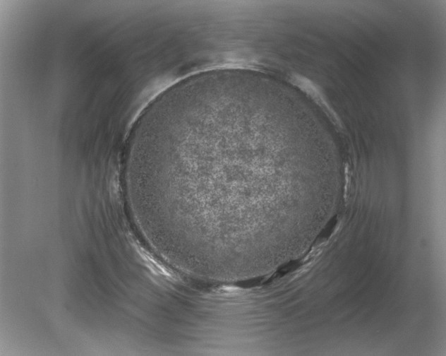 X0000081571260200701221043