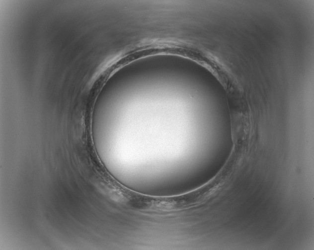 X0000081571261200701221043