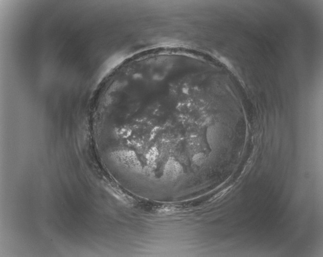 X0000081571263200701221043