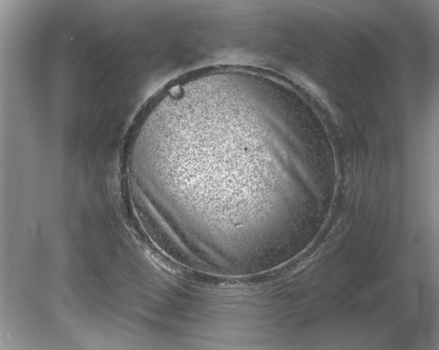 X0000081571264200701221043