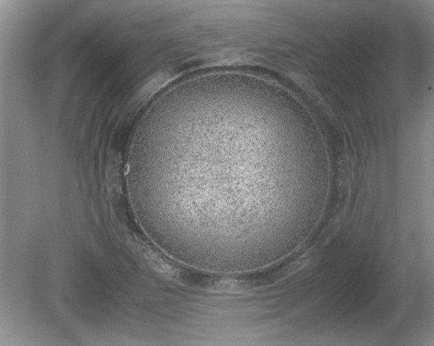 X0000081571265200701221043