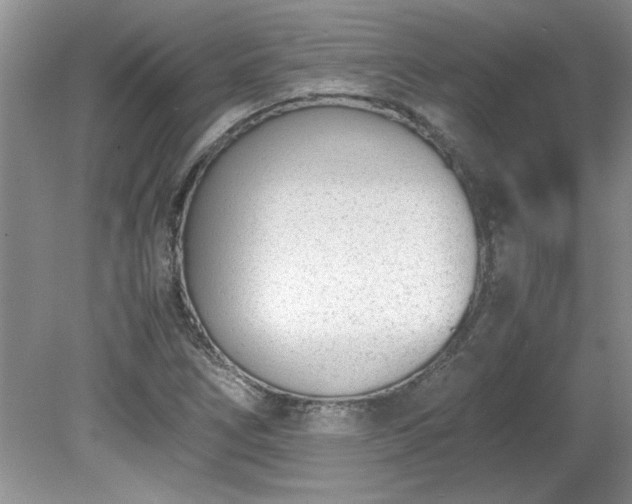 X0000081571266200701221043