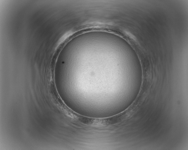 X0000081571267200701221043