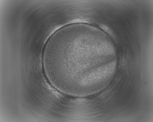 X0000081571268200701221043