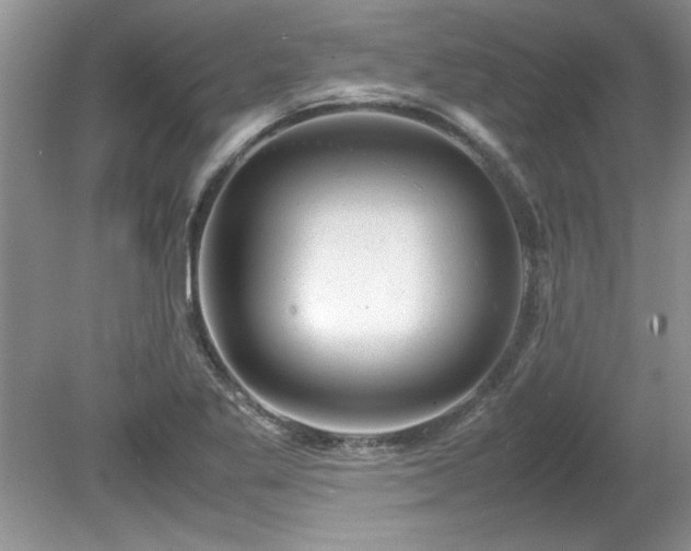 X0000081571269200701221043