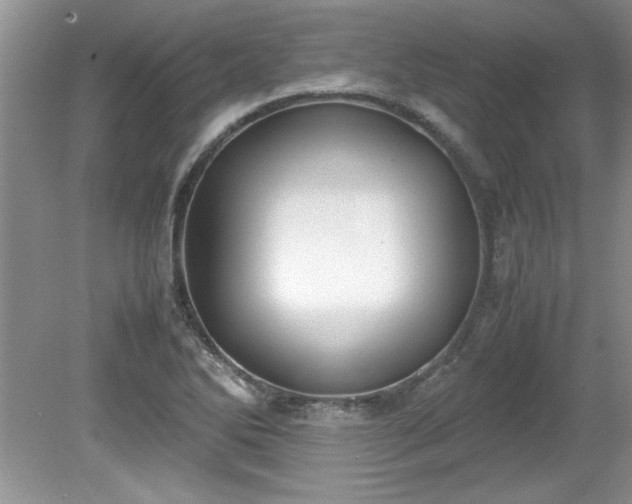 X0000081571270200701221043