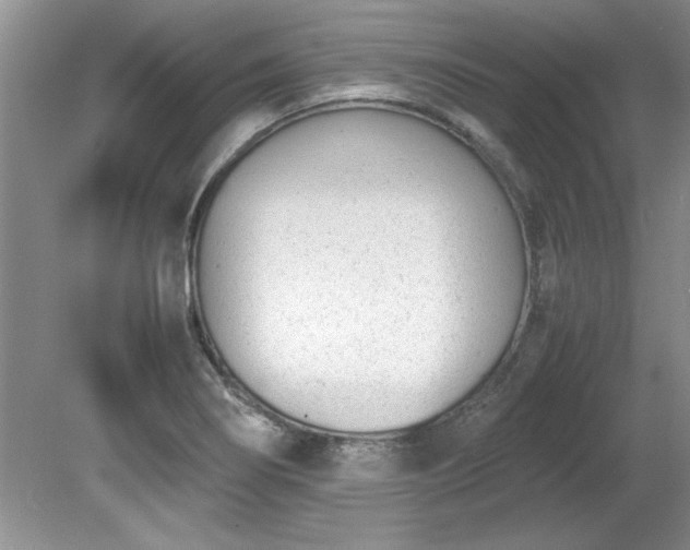 X0000081571274200701221043