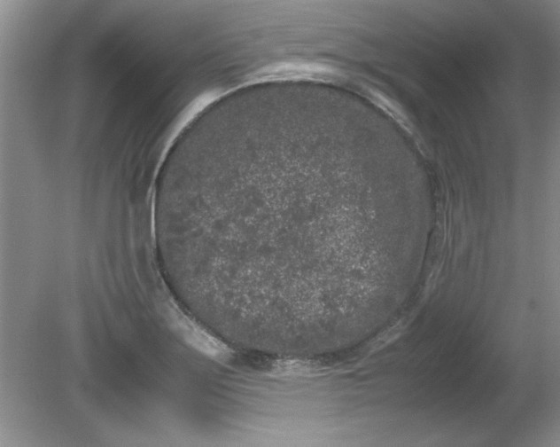 X0000081571275200701221043