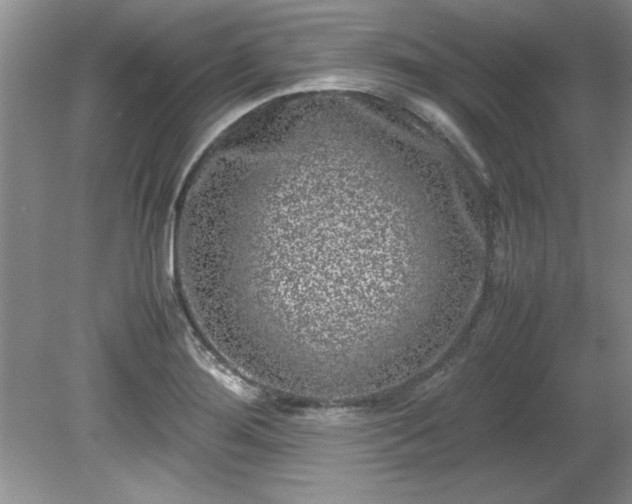 X0000081571276200701221043