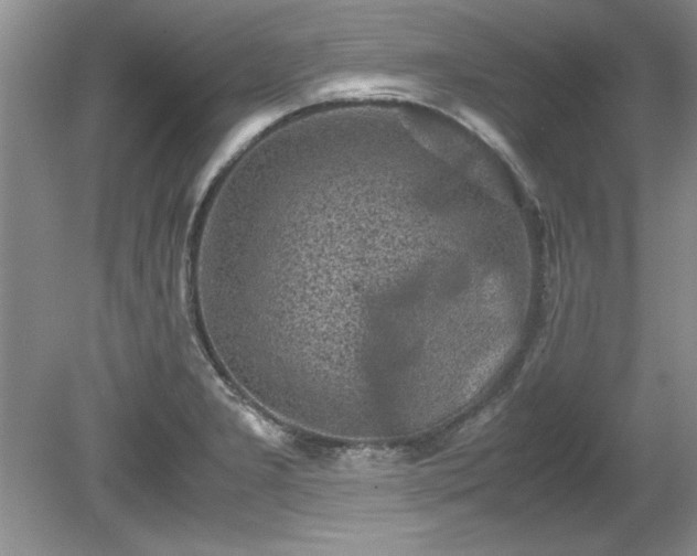 X0000081571277200701221043