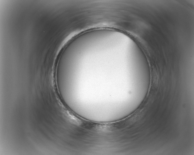 X0000081571278200701221043