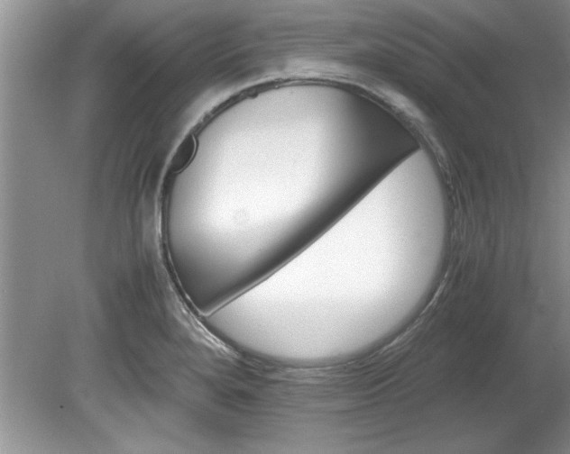 X0000081571280200701221043