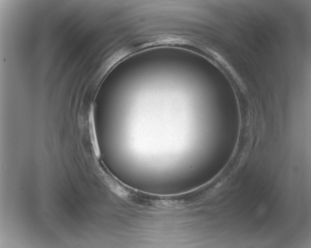 X0000081571281200701221043