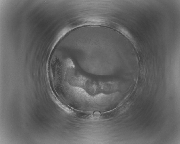 X0000081571283200701221043