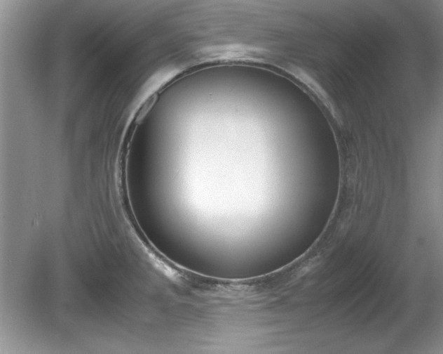 X0000081571285200701221043