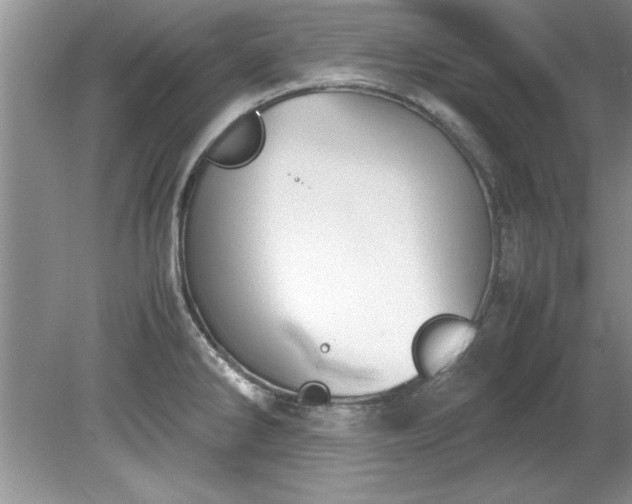 X0000081571286200701221043