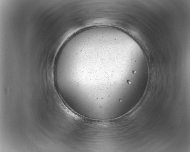 X0000081571288200701221043